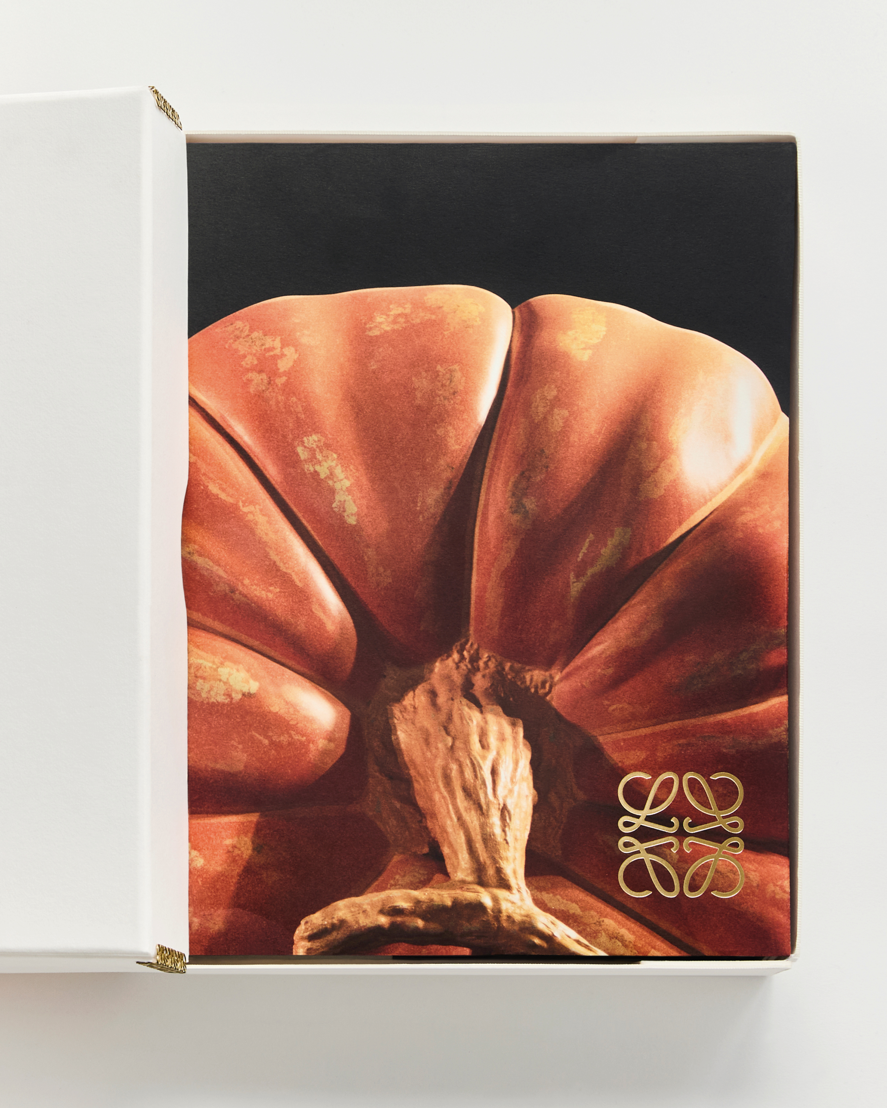 LOEWE presents Crafted World: Jonathan Anderson's  - LVMH