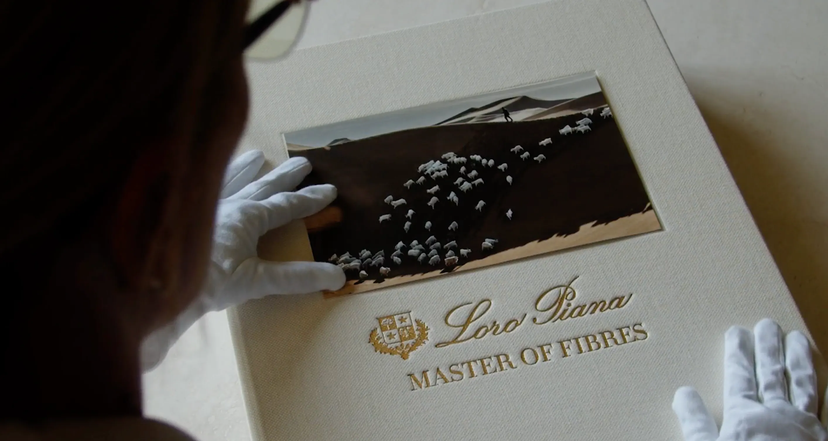 洋書 lazlo parker Loro Piana celebrates centenary and publishes Mast - LVMH
