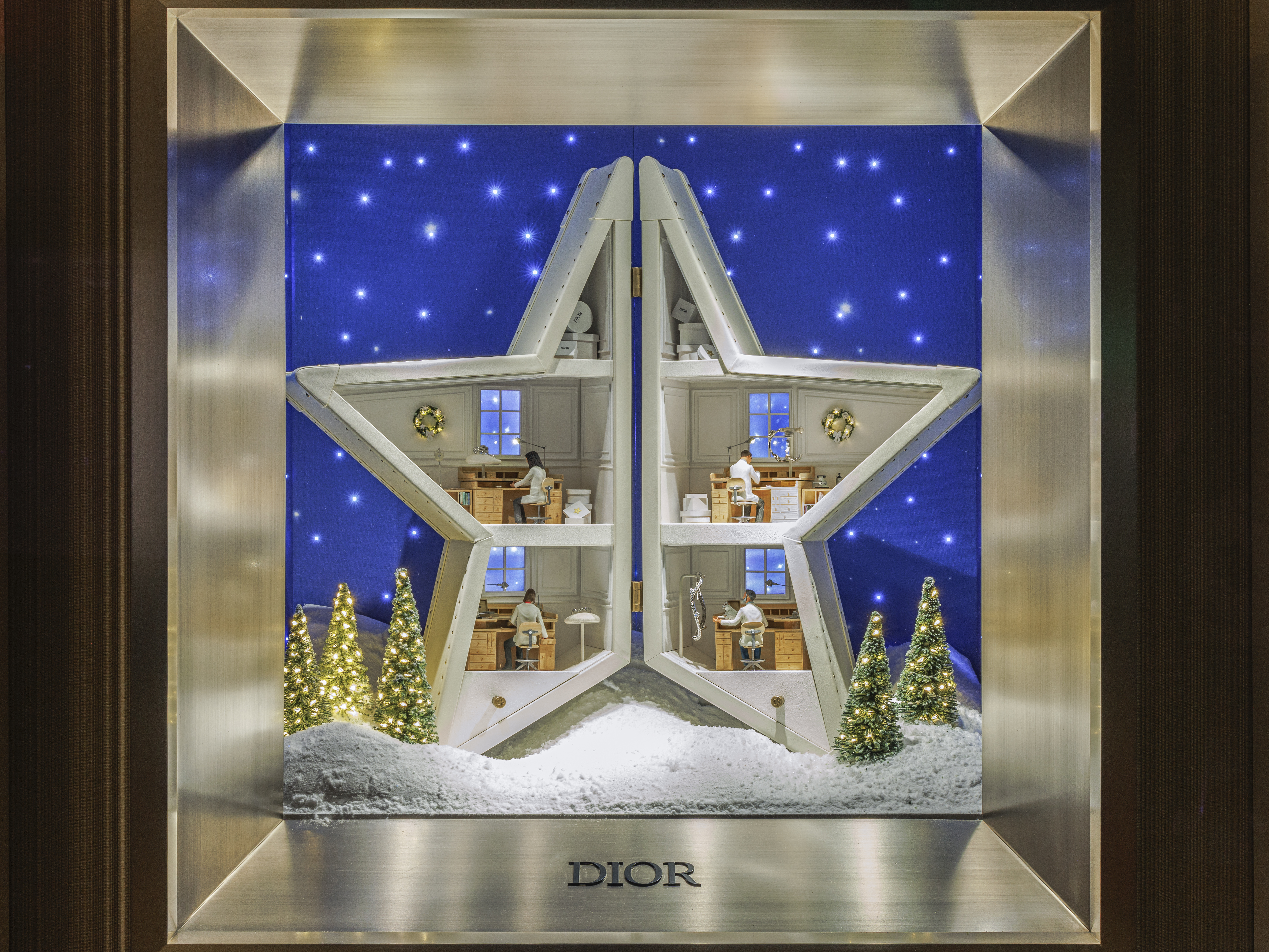 【星空を優雅に舞うトンボ】DIOR Dior Night Herbarium ブローチ 星空を優雅に舞うトンボ♪】DIOR Dior Night Herbarium リング
