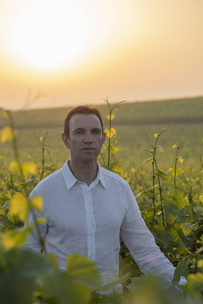 Visuals - Ruinart presents Blanc Singulier, a unique cuvée revealed by climate variations