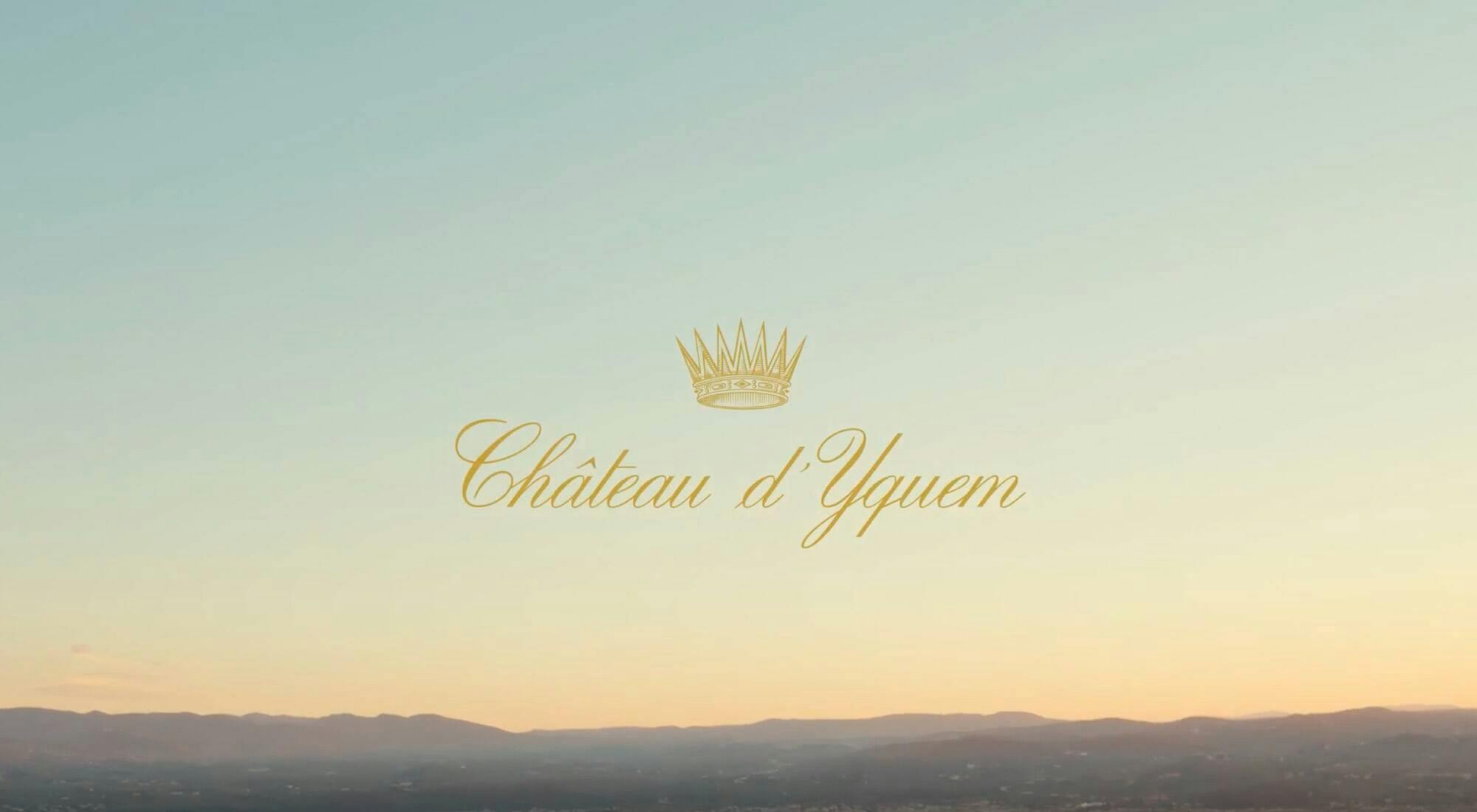NEWS | Château d’Yquem releases vibrant and delicate 2021 vintage