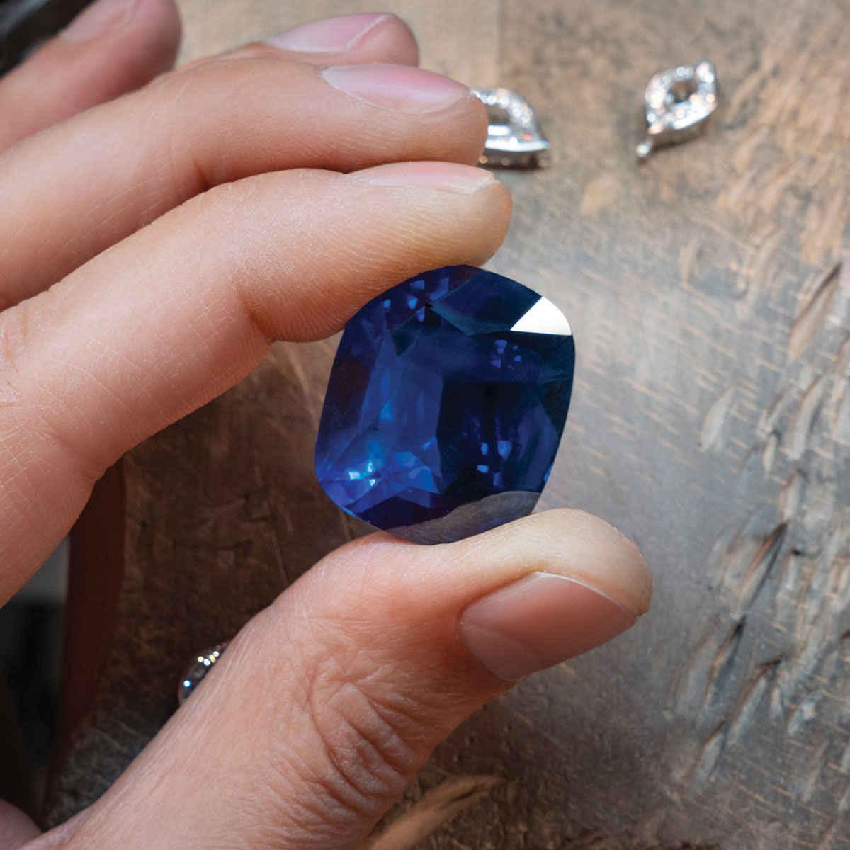 Bvlgari_DAMIANI_20240606.jpg