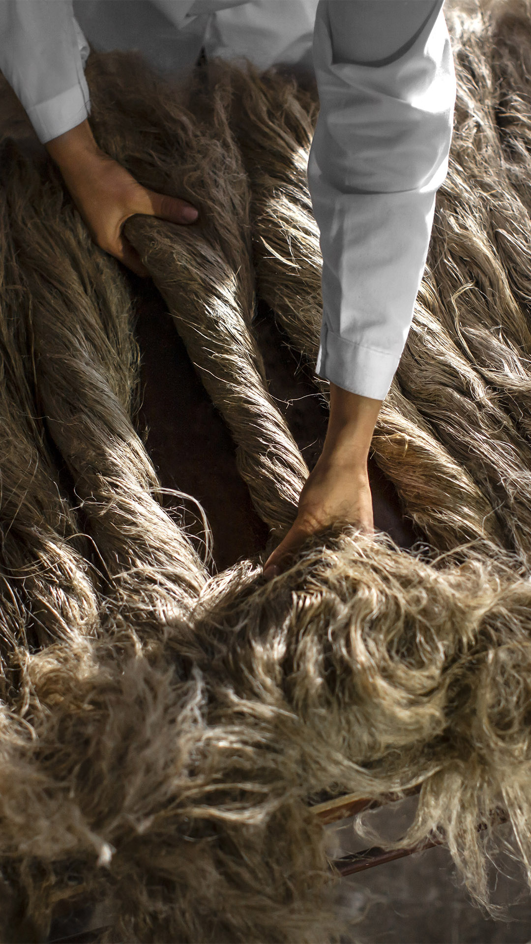 Loro Piana extends traceability to iconic André shirt - LVMH Loro Piana extends traceability to iconic André shirt - LVMH