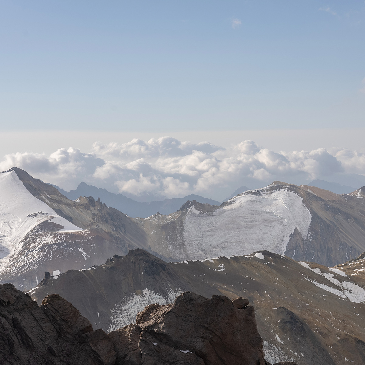Terrazas de los Andes, fine vintages - Wines & Spi - LVMH