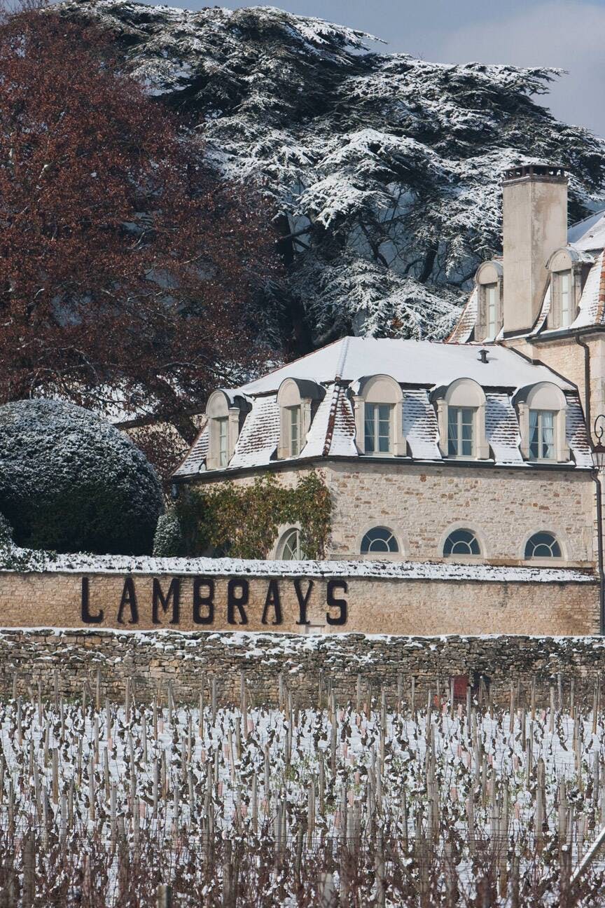 冬のオランジェリー © JL Bernuy