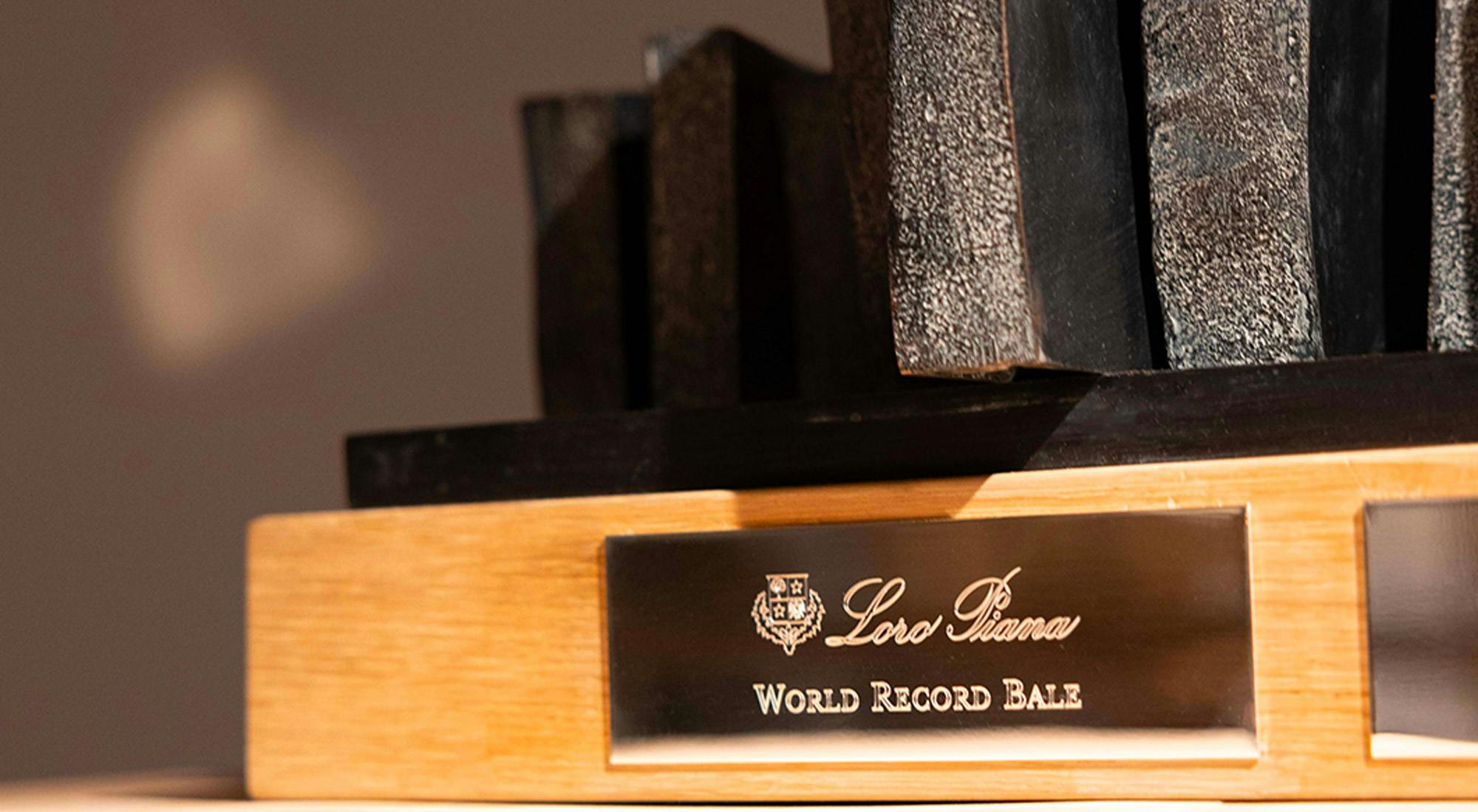 Representative visual