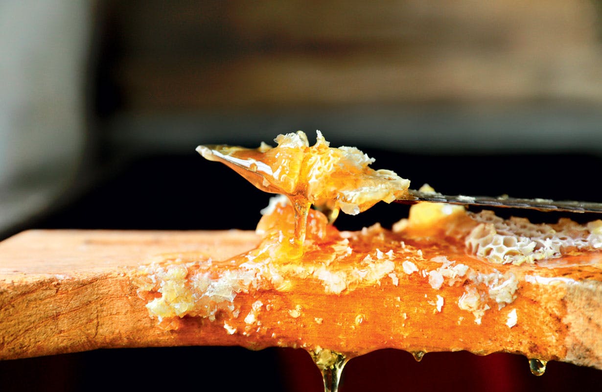 Honey from Ouessant Island, France