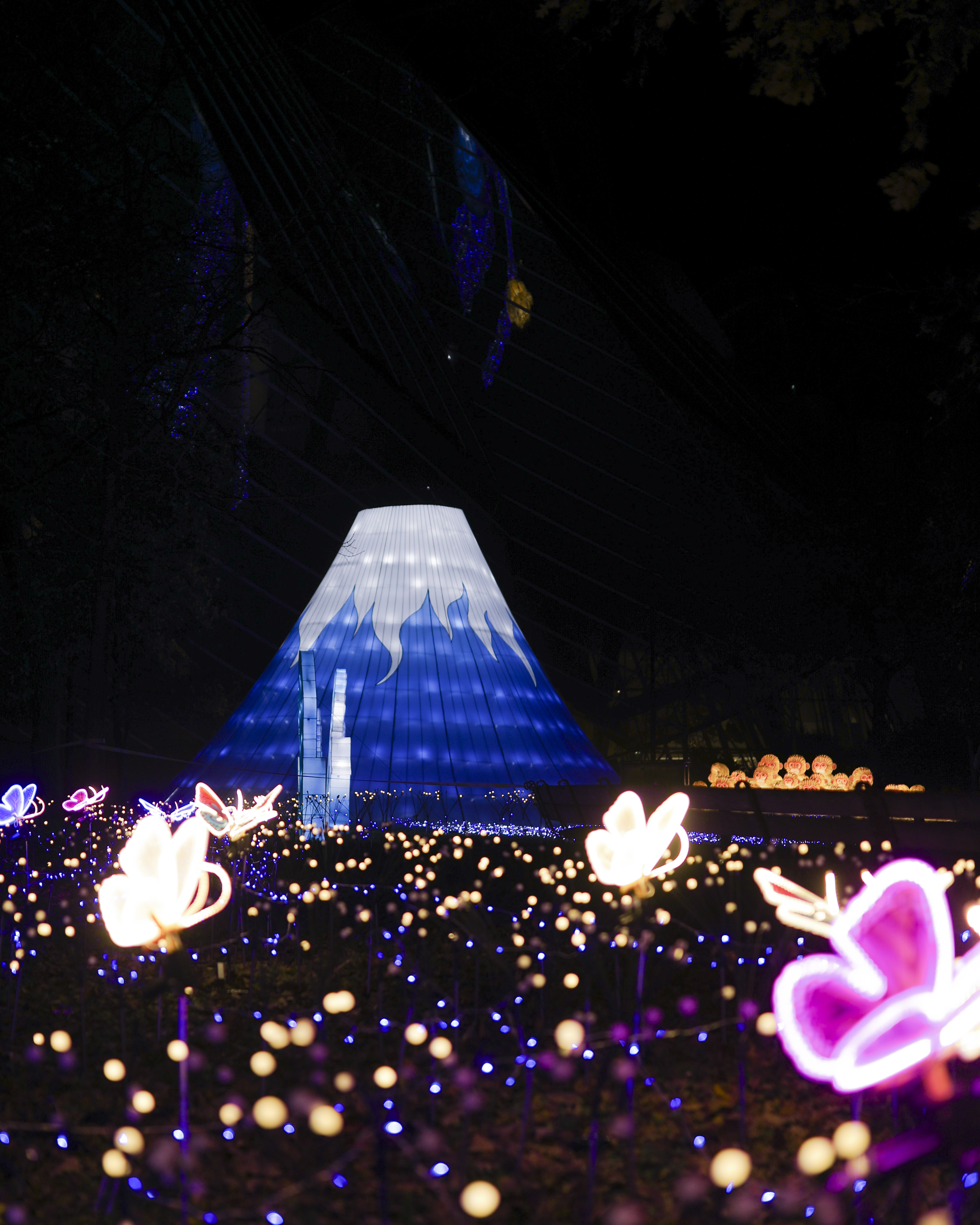 Japan in Light