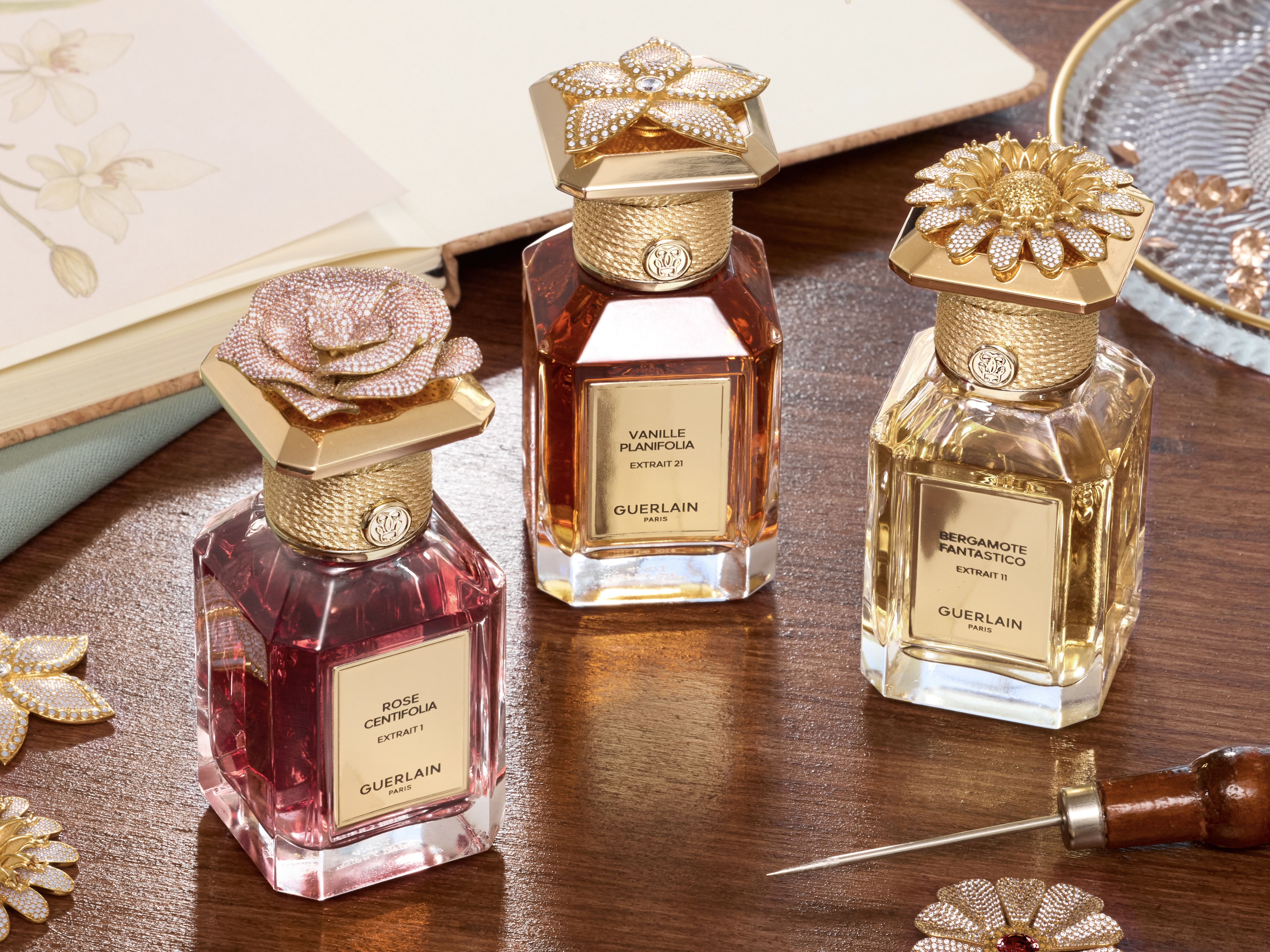 Kenzo Parfums - LVMH