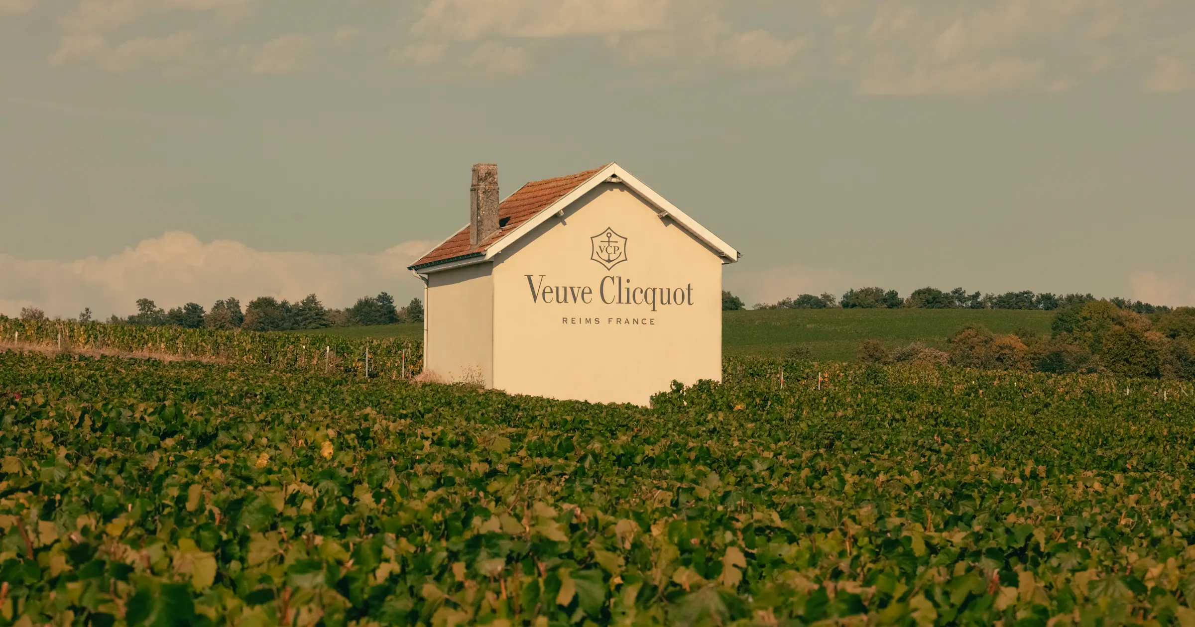 Veuve Clicquot and Madame Clicquot The Art of Pinot Noir at Manoir de Verzy