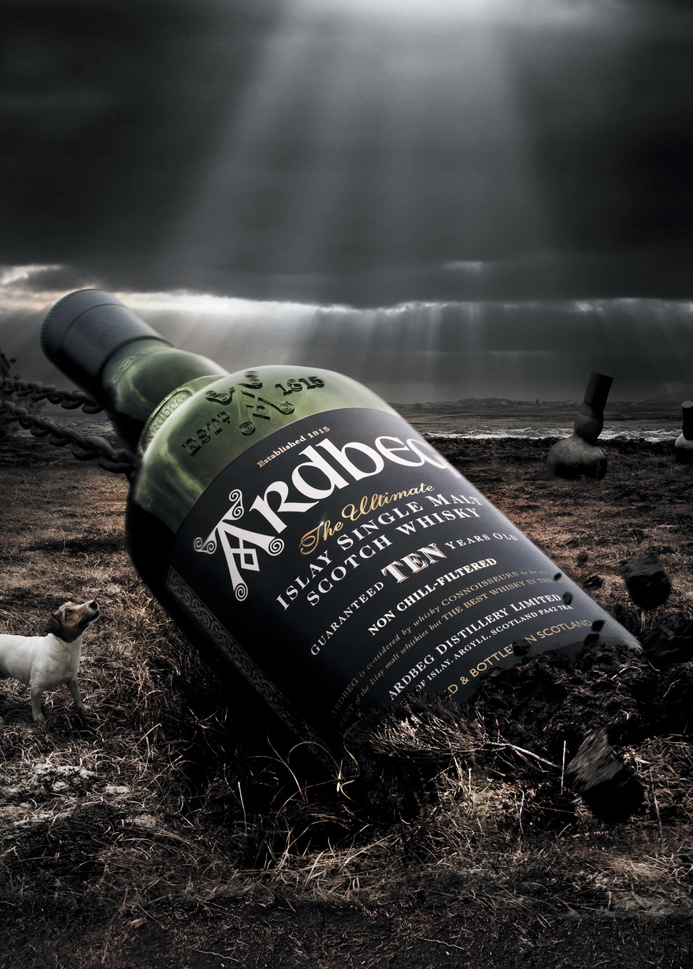 Ardbeg、ウィスキー、シングルモルト - ワイン＆スピリッツ - LVMH