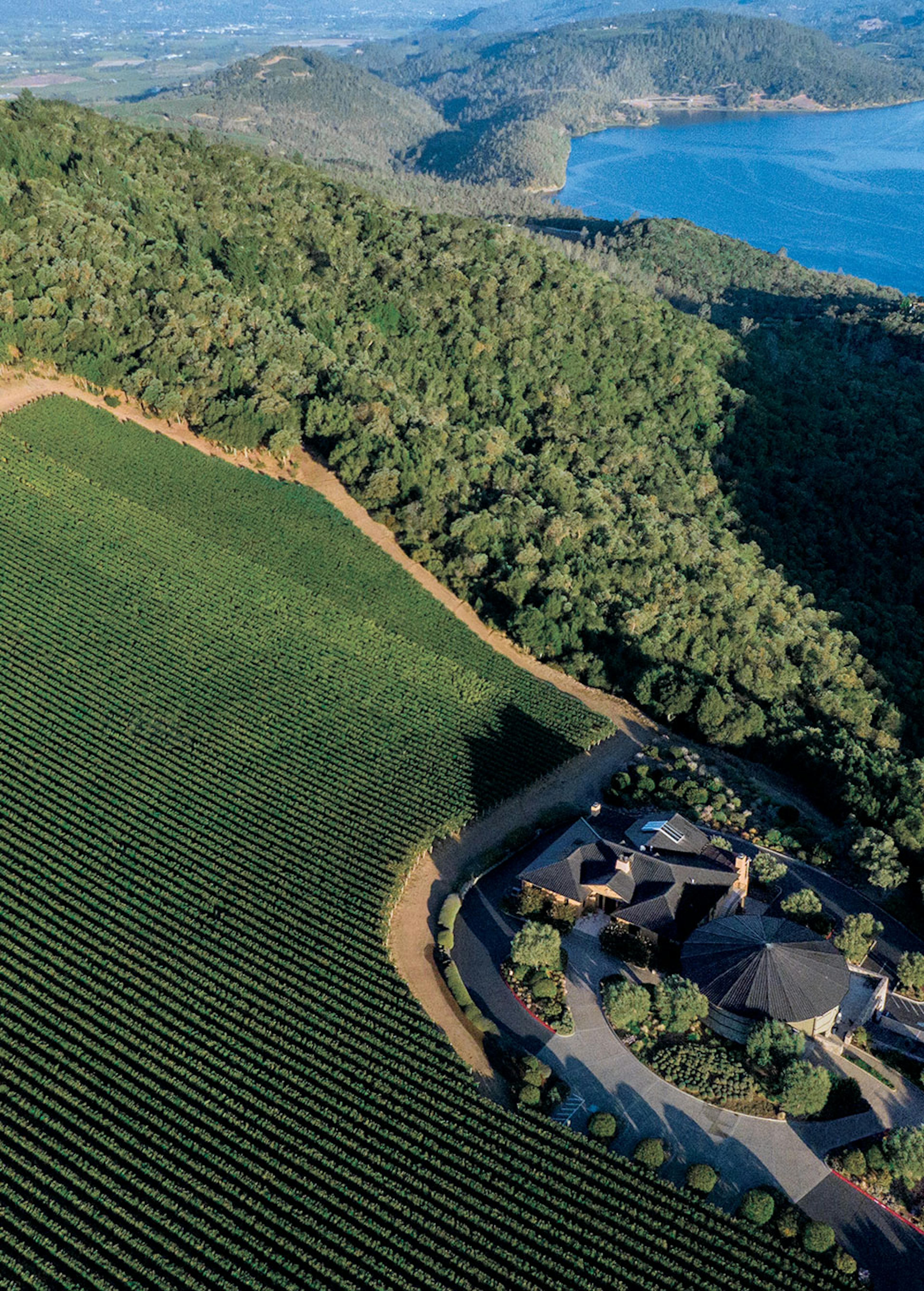 Colgin Cellars Wines & Spirits LVMH