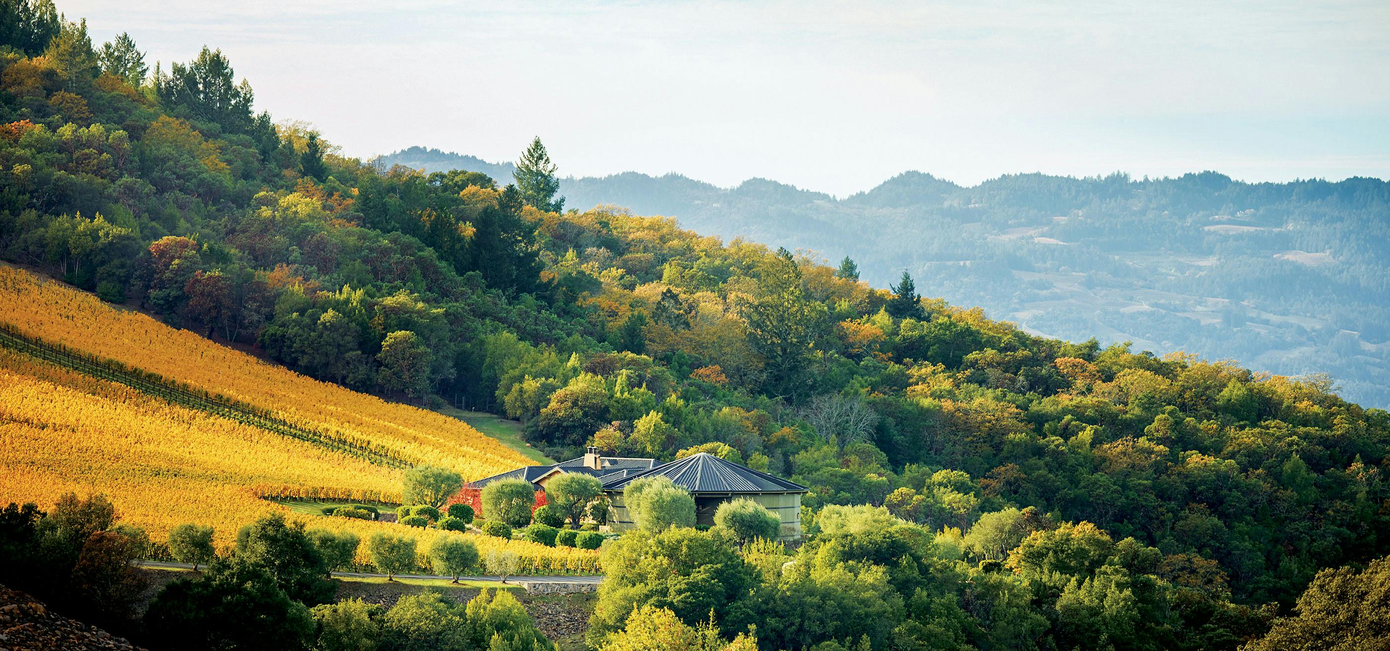 Cover Colgin Cellars