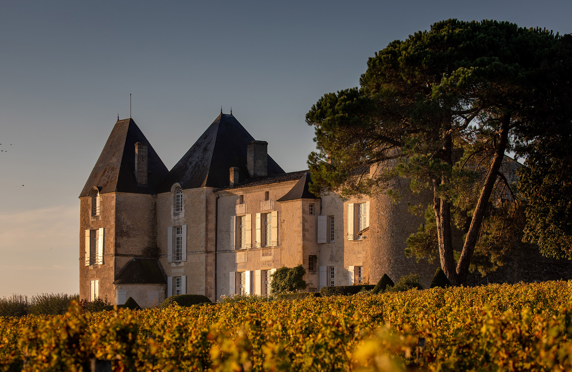Château d'Yquem、ソーテルヌのプレミア・クリュ - ワイン Château d'Yquem、ソーテルヌのプレミア・クリュ - ワイン