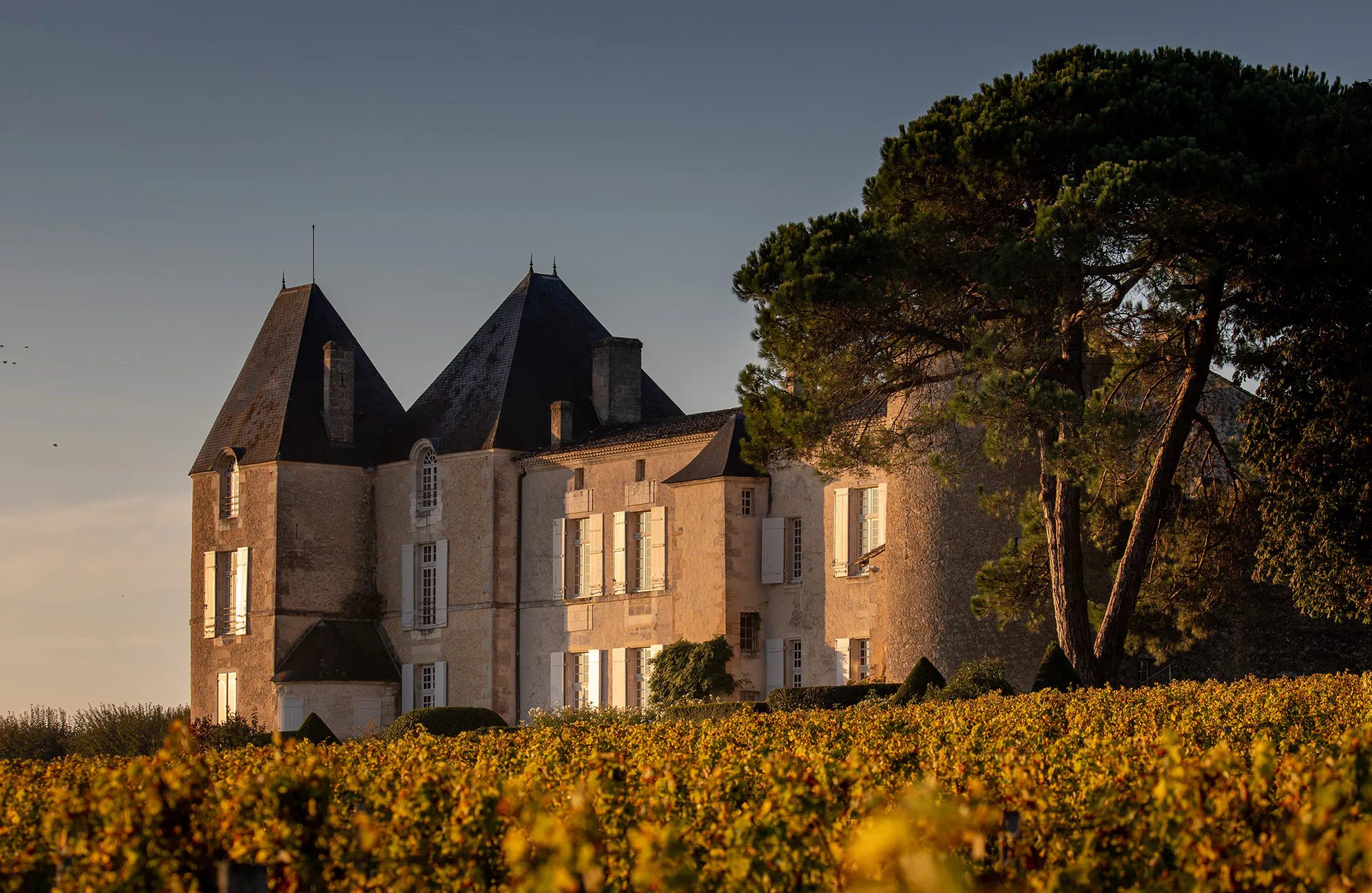 Château d'Yquem, Sauternes Premier Cru - Wines & S... - LVMH