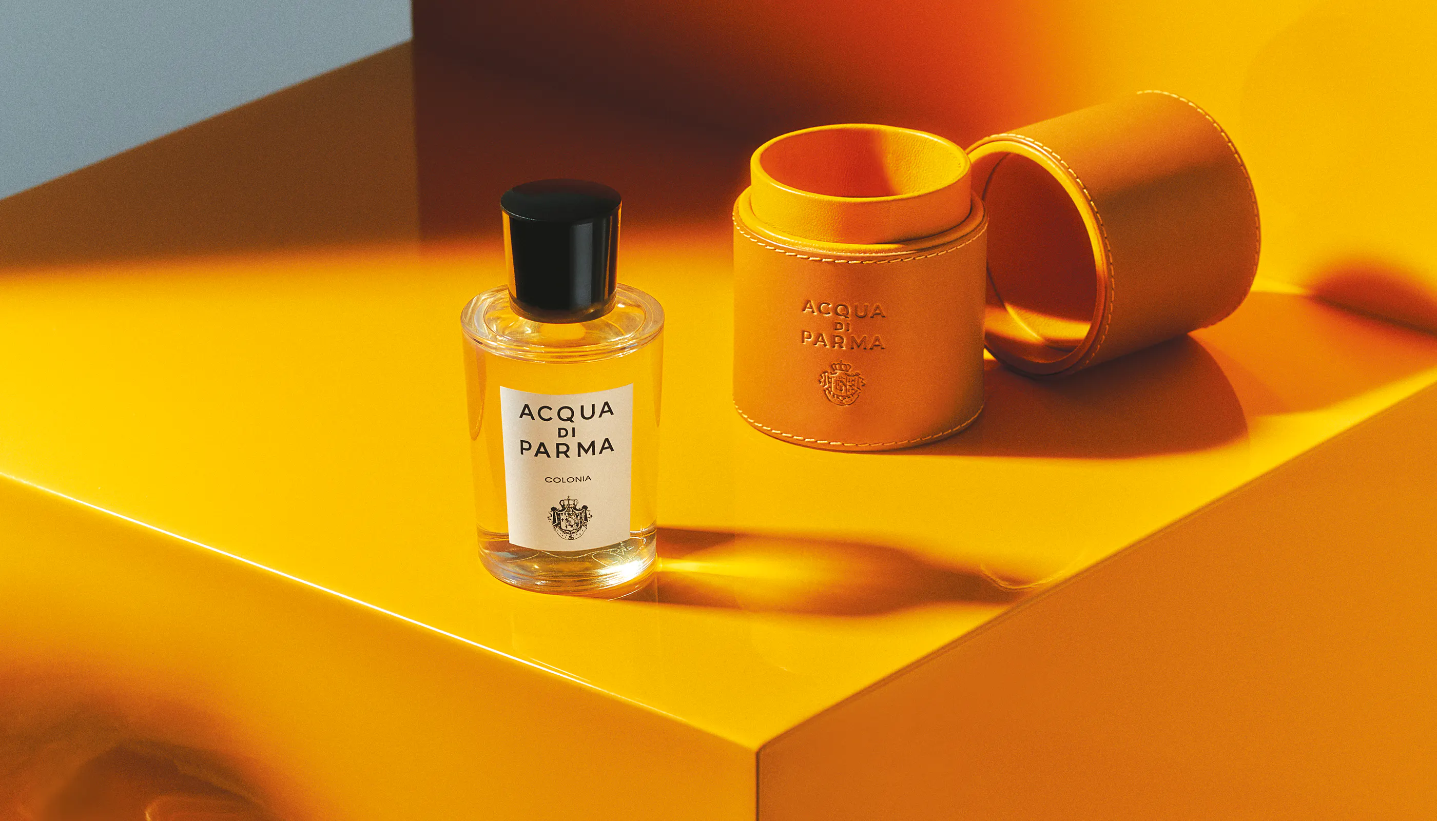 Sales Assistant Fidenza - Acqua Di Parma - ADPA00654 - LVMH