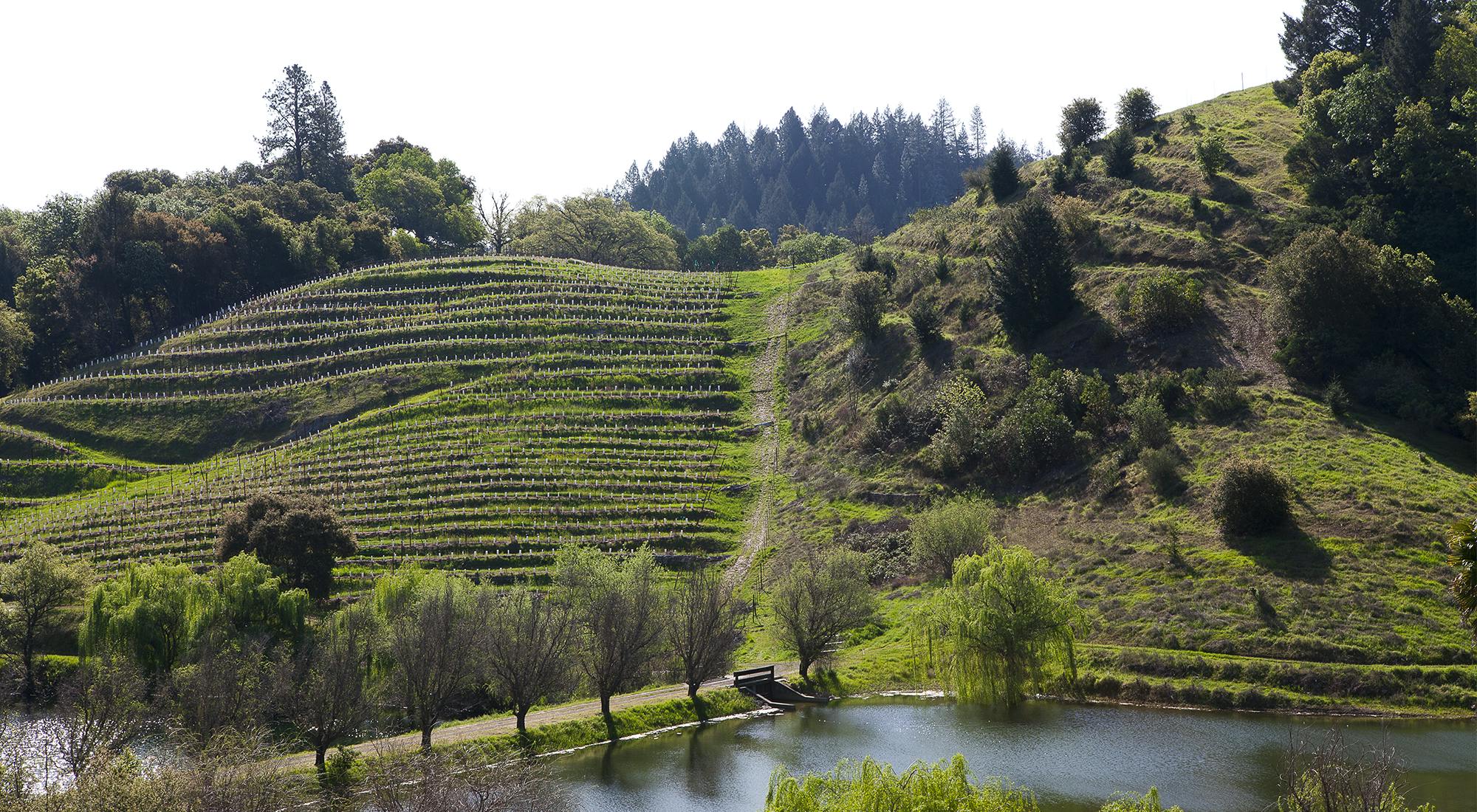 表紙 - LVMHがグループ全体のウォーターフットプリントを30%削減する野心的な節水計画を発表