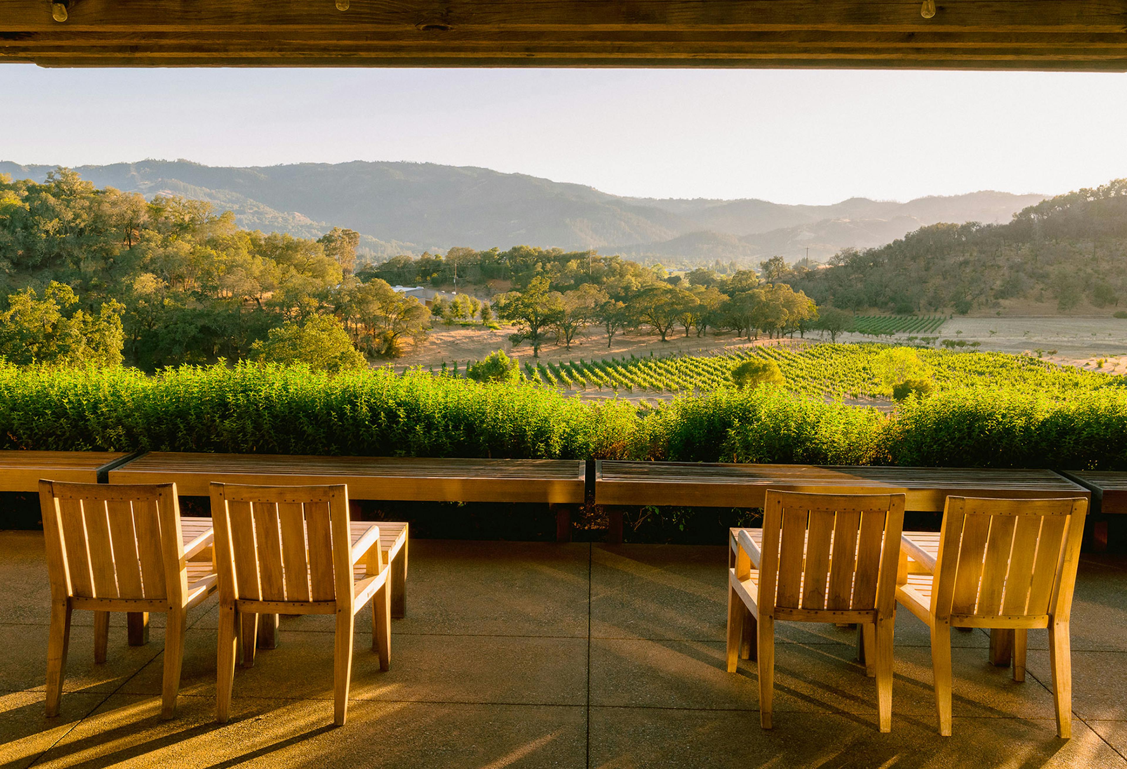 Winery Terrace View © Briana Marie Photography
