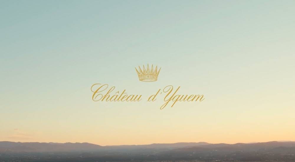 Cover Château d’Yquem releases vibrant and delicate 2021 vintage