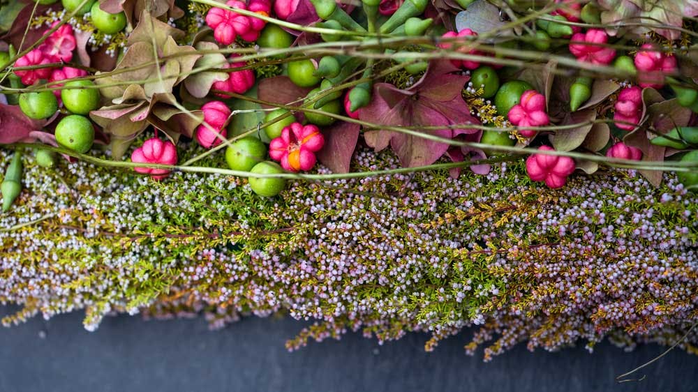 image de la réalisation Prise de photographie pour Fleuriste à Lausanne