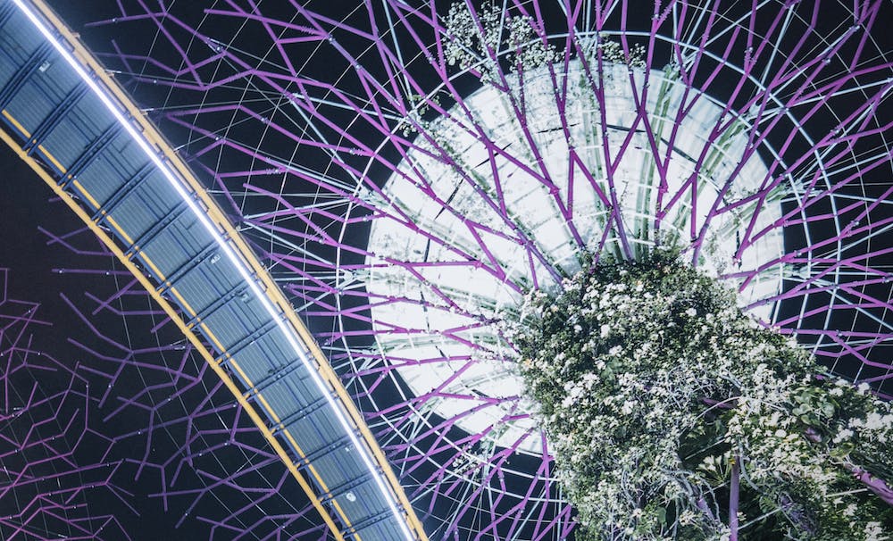 Supertree Grove, Singaport