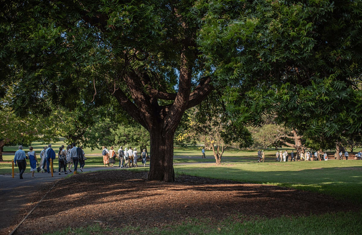 Lysicrates playwright prize playwriting play competition 2020 102