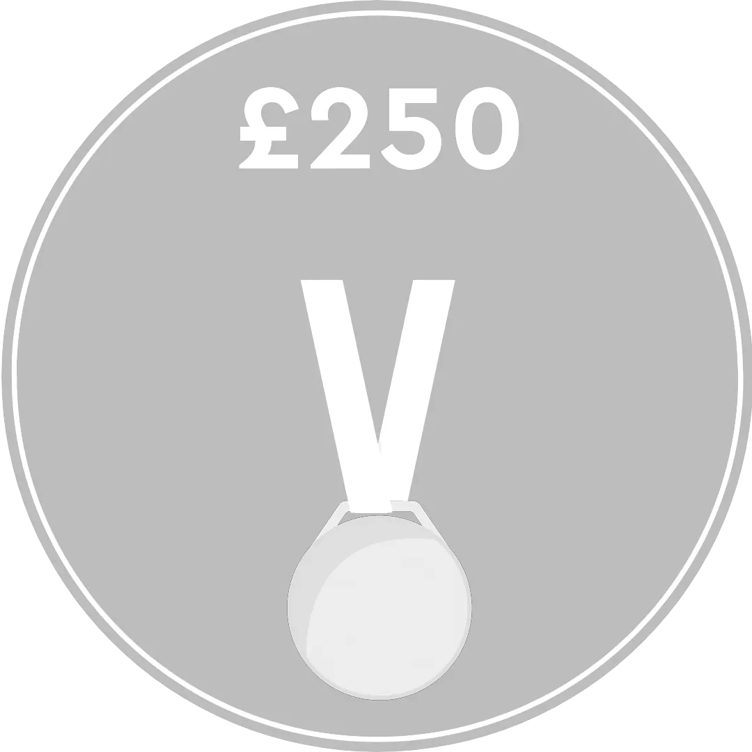 Not achieved - £250 Raised - Illustration of a medal