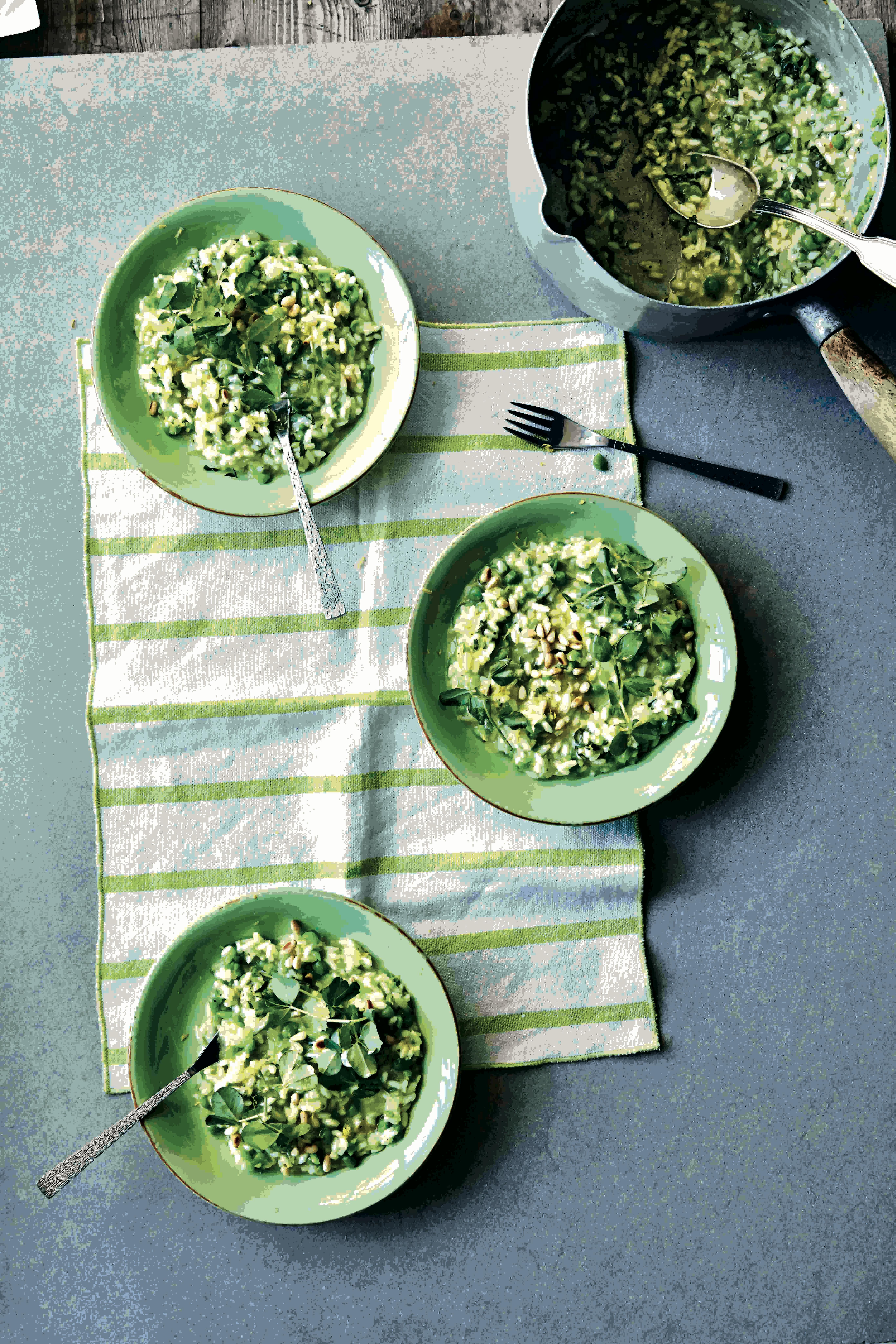 Pea and Basil Risotto in four bowels
