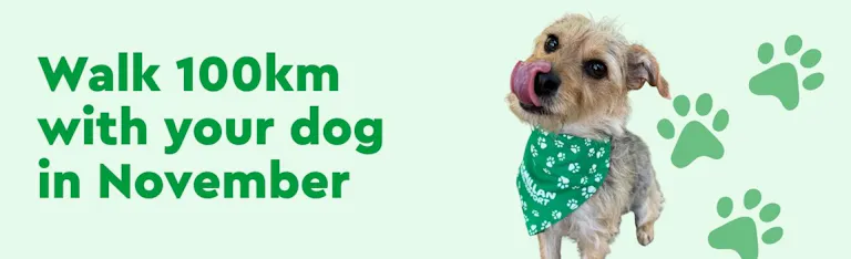 Walk 100km with your dog in November campaign banner.