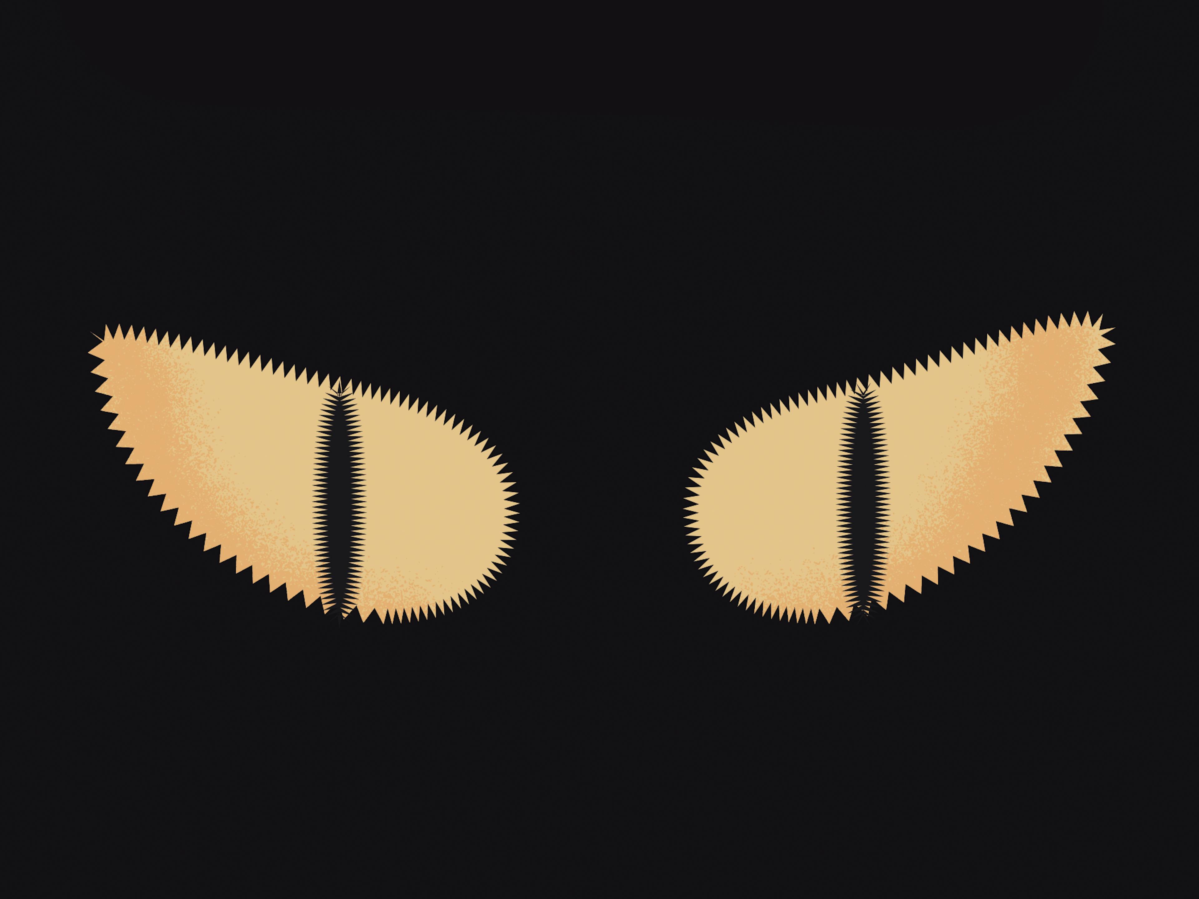 Madamepolare Project's Block Image