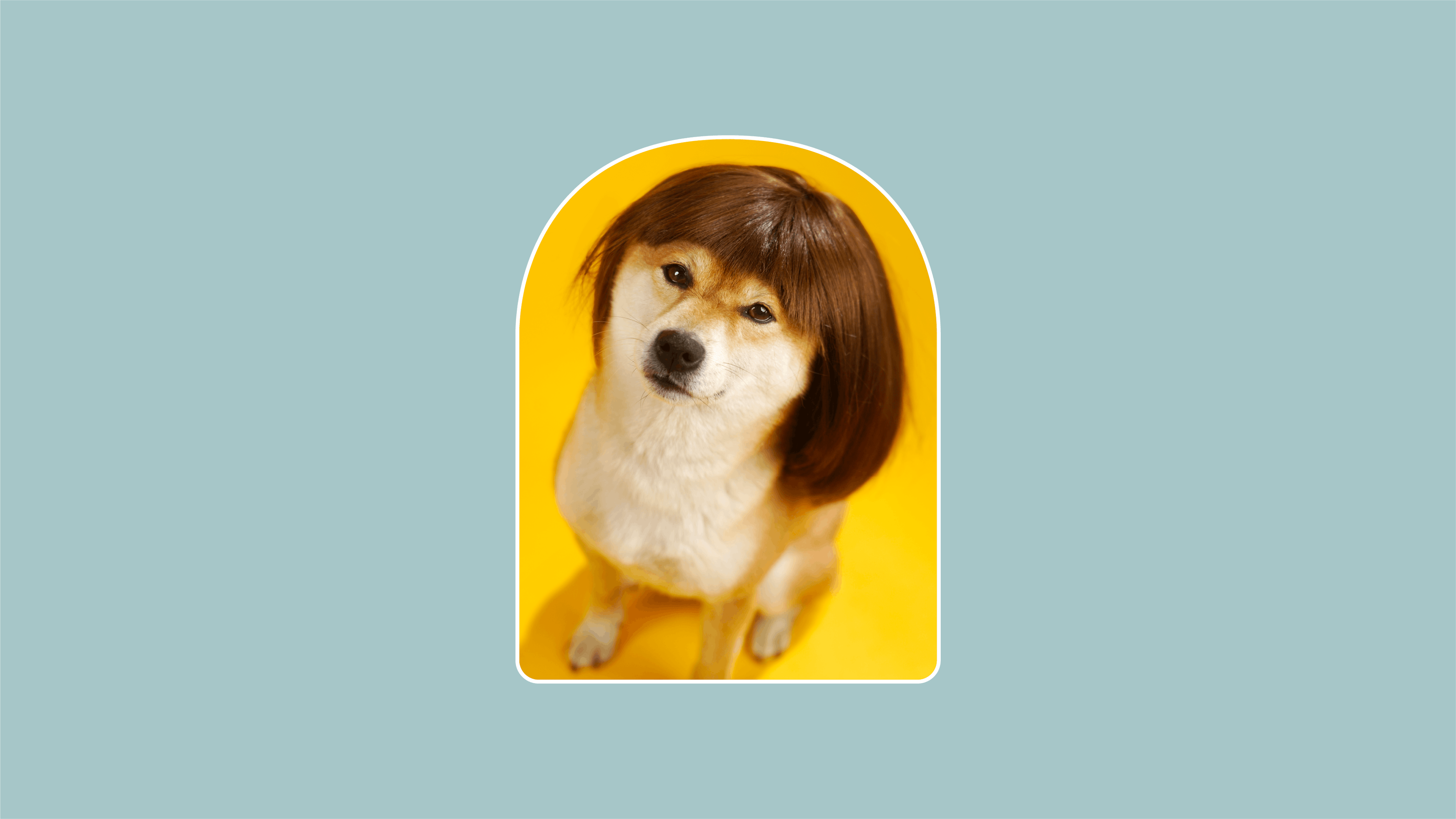 Madamepolare Project's Block Image