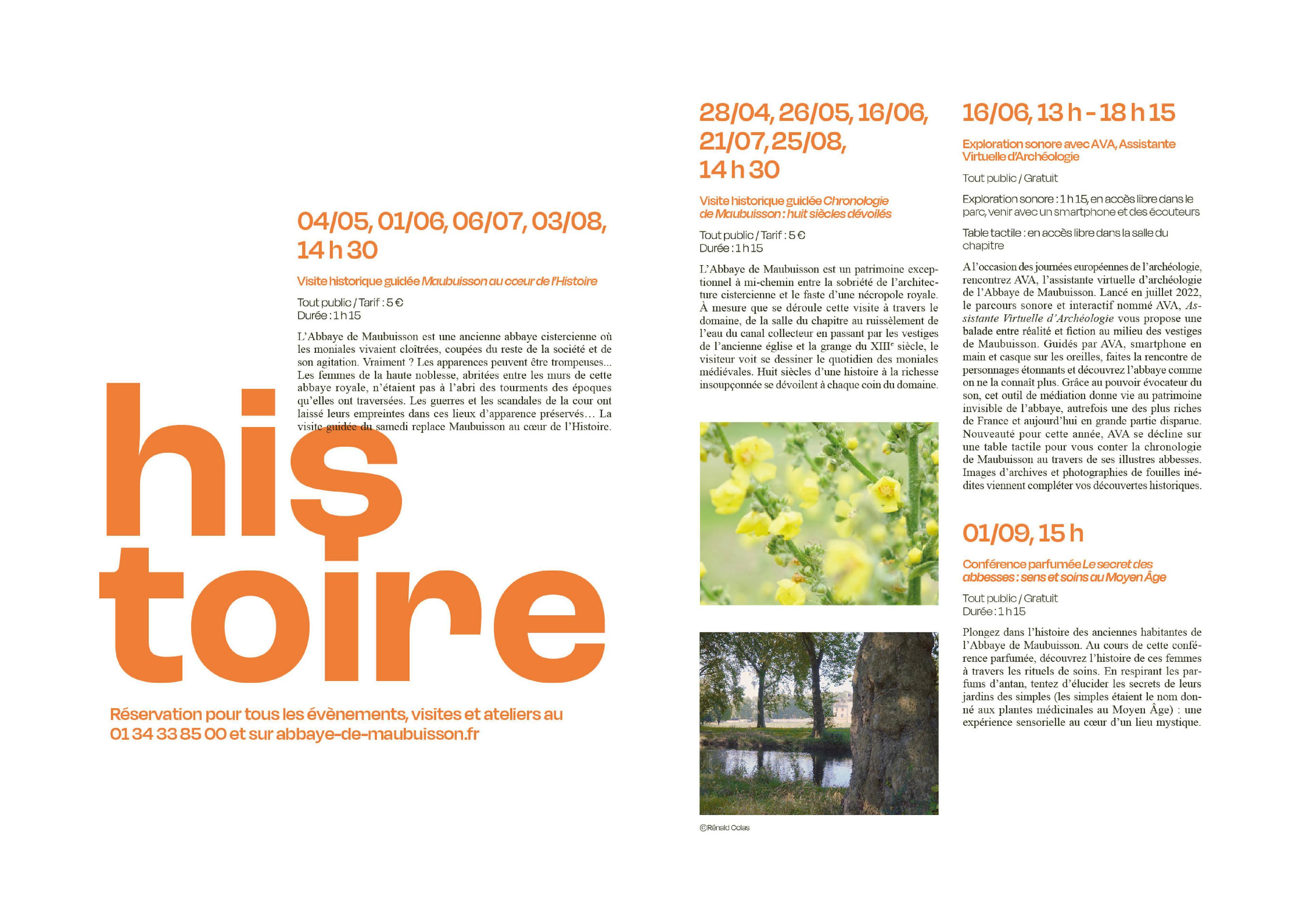 Madamepolare Project's Block Image