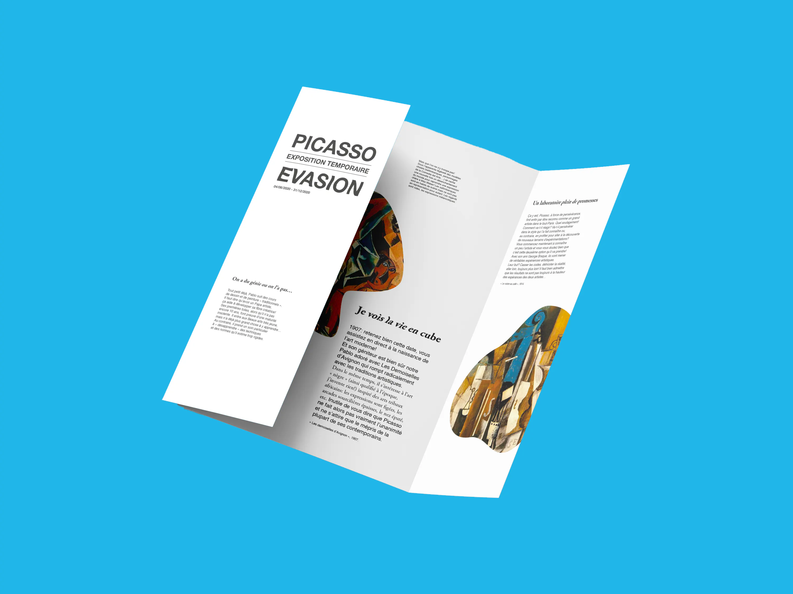 Madamepolare Project's Media