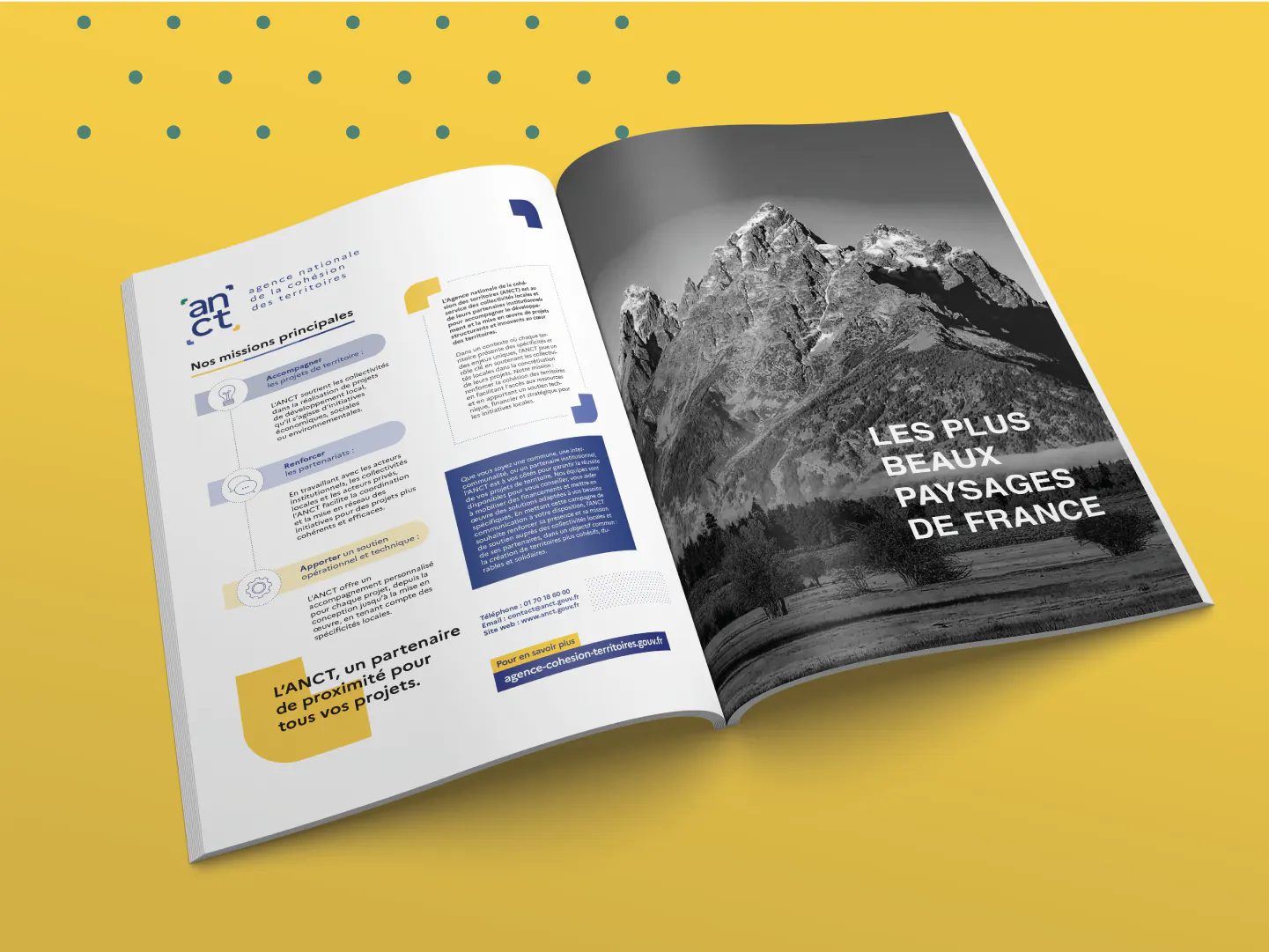 Madamepolare Project's Media