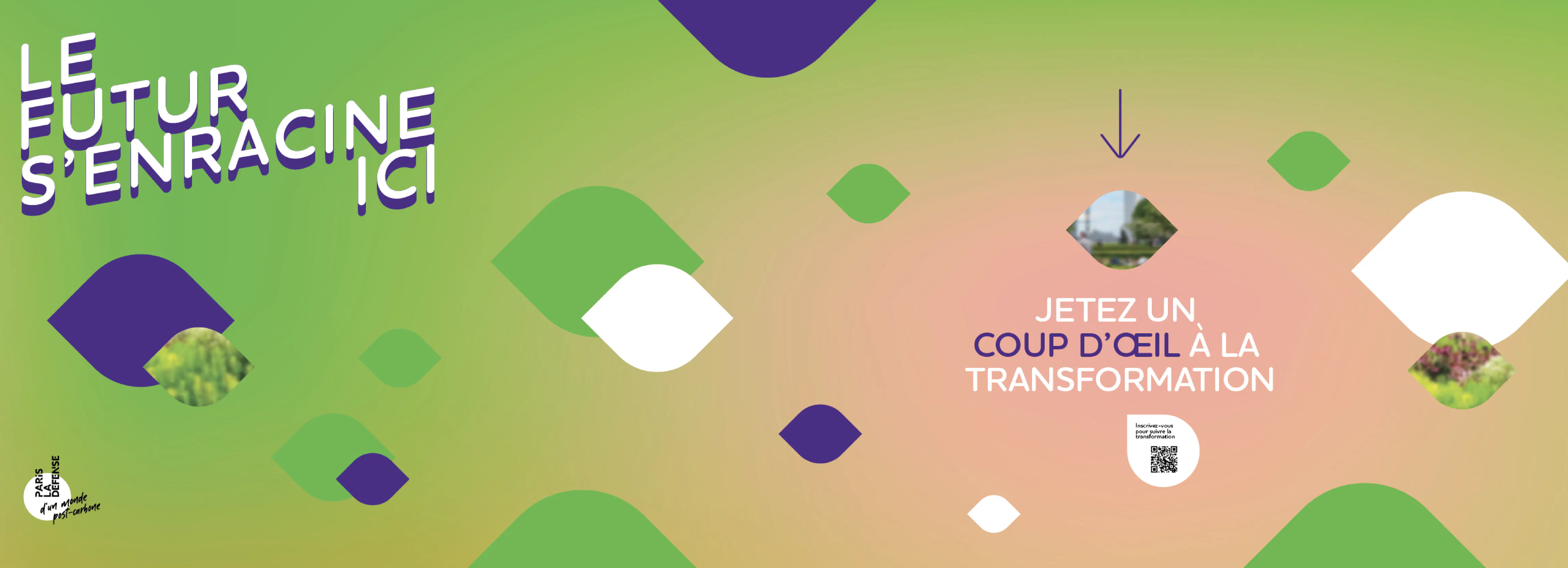 Madamepolare Project's Media