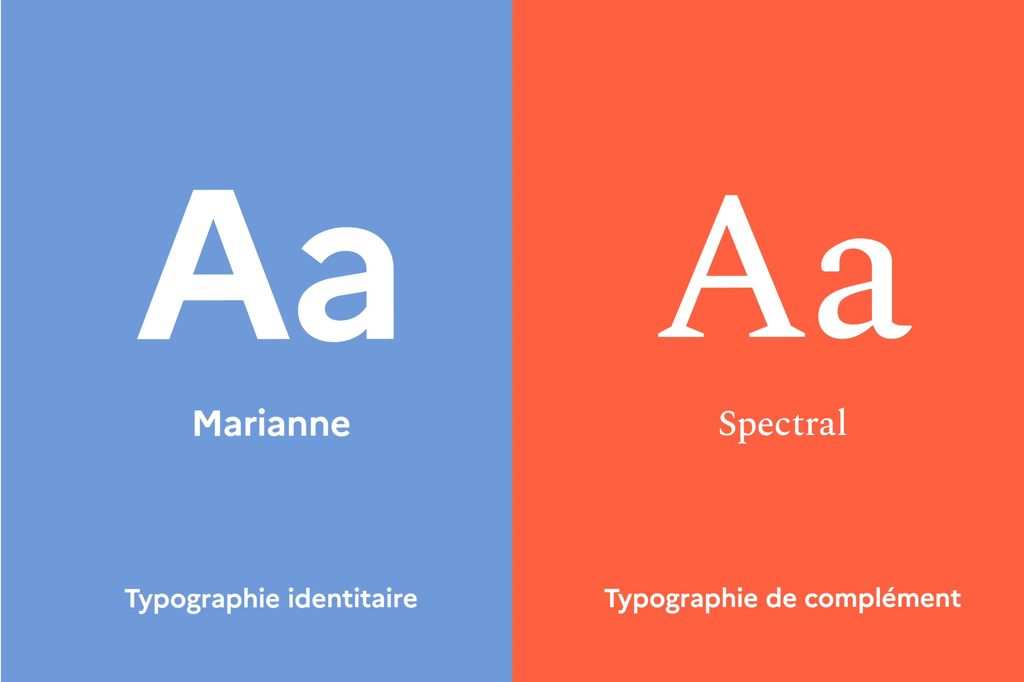 Madamepolare Project's Media