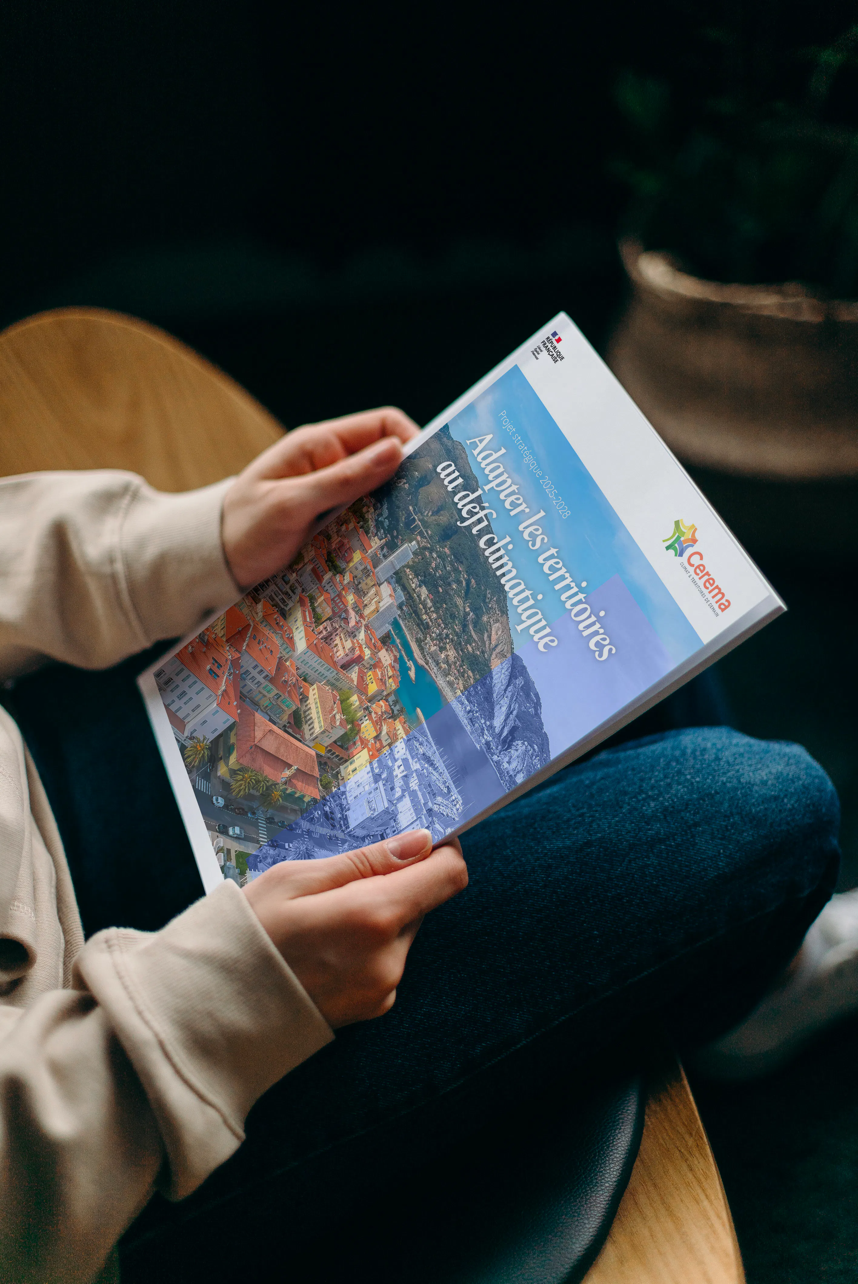 Madamepolare Project's Media