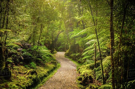 How The ‘Consumer Journey’ Metaphor Is Leading Marketers Up The Garden Path
