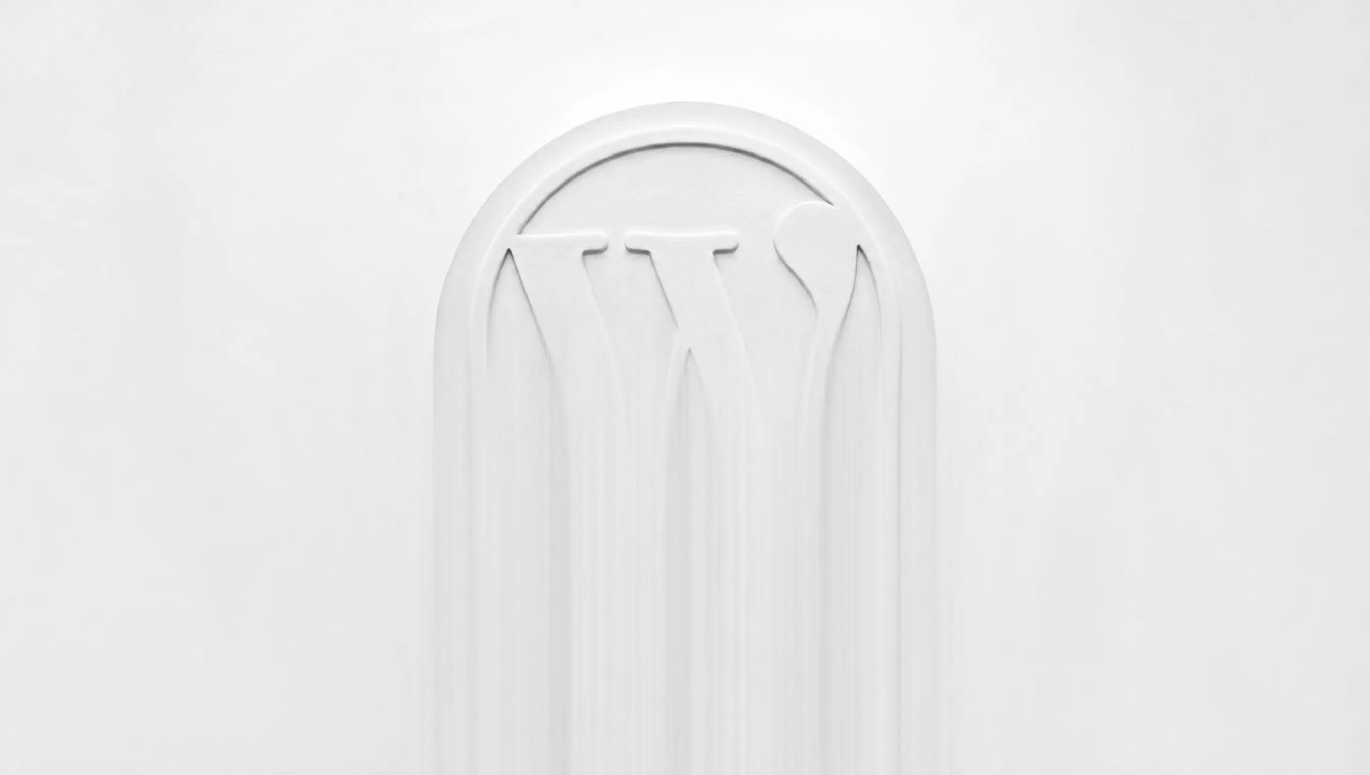Fotografia in bianco e nero a lunga esposizione di un medaglione bianco opaco con la lettera W di WordPress in rilievo: la parte alta è nitida, mentre dalla metà in giù la forma si dissolve in scie verticali di luce su fondo quasi bianco