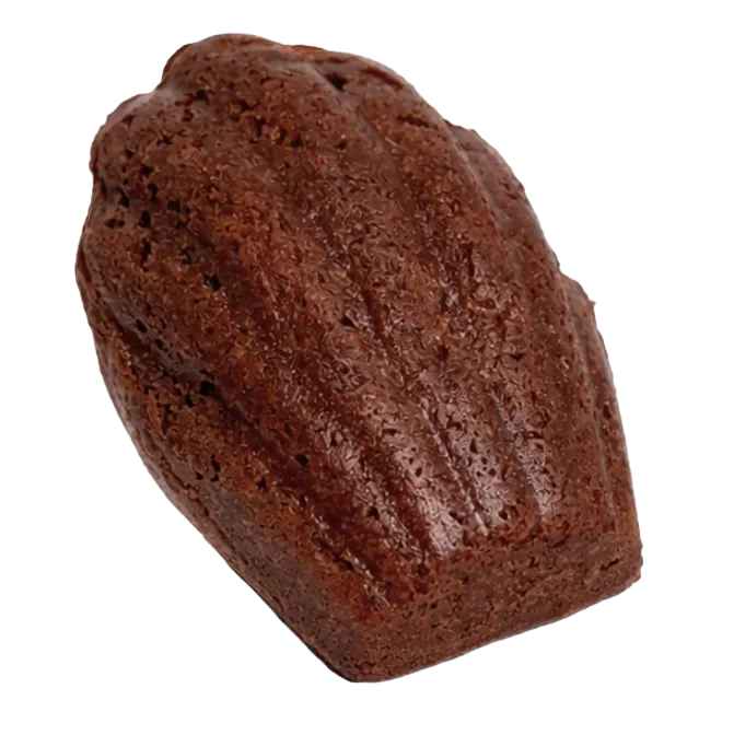 Madeleine de Chocolate — Madie