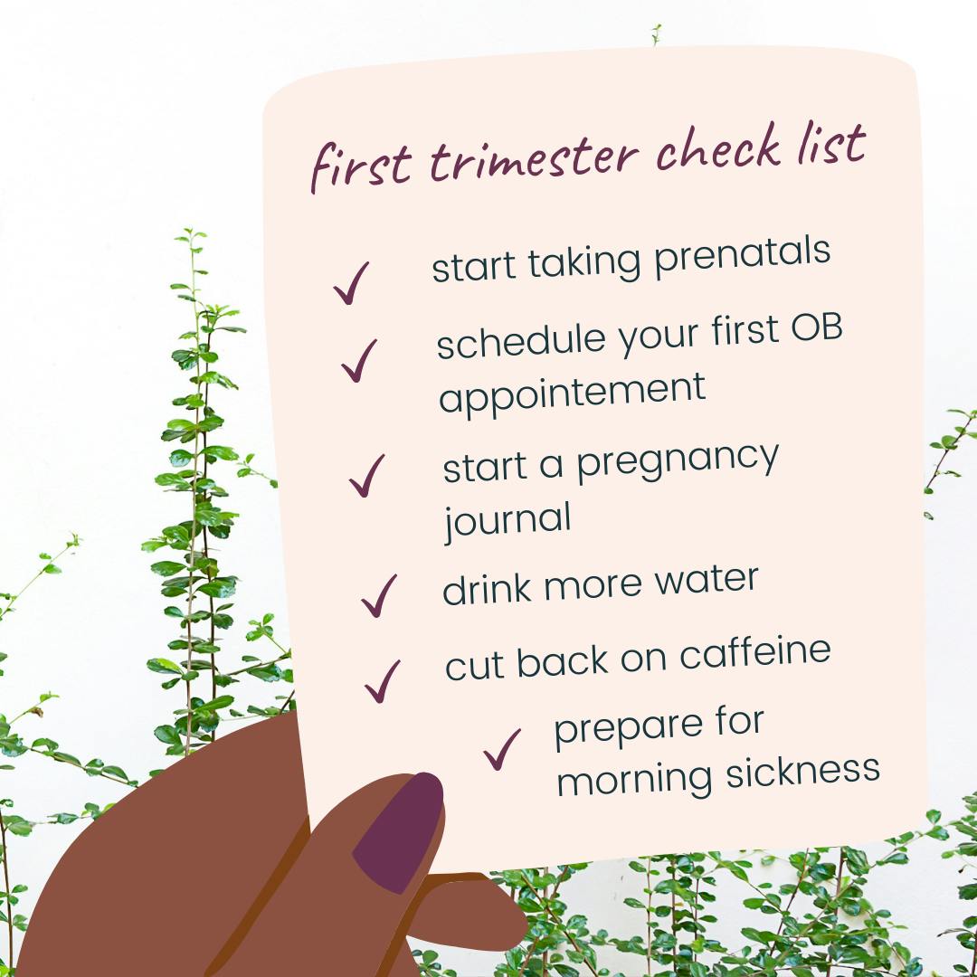 first-3-months-of-pregnancy-check-list-that-reads-start-taking
