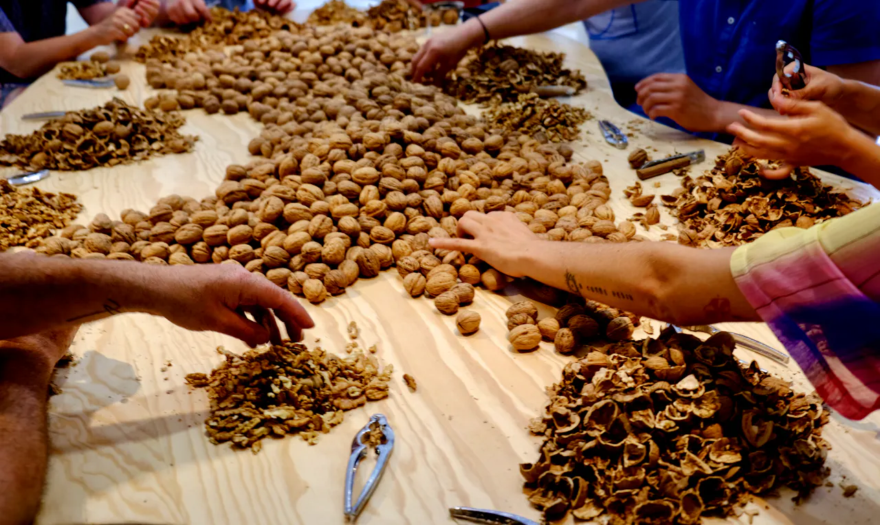 photo-mondailles-bron-sevez © FRAC Centre Val-de-Loire