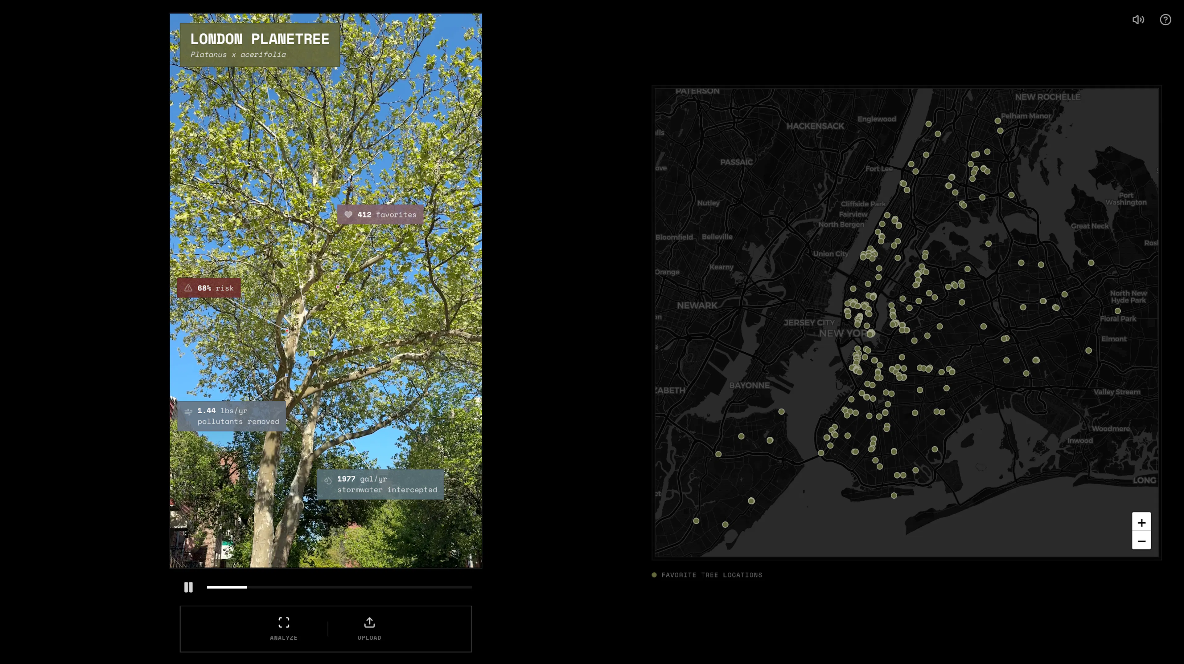 Screenshot of interactive tree detection app alongside video