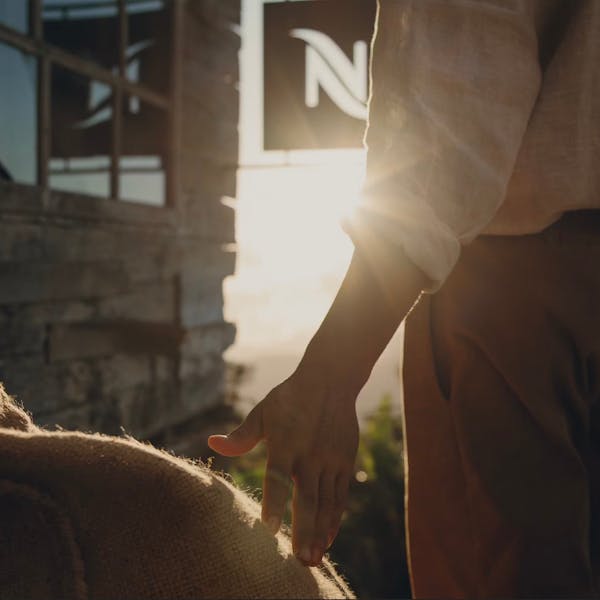 DIGITAL ECOSYSTEM - Image