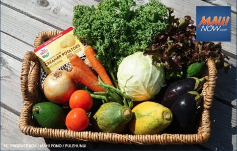 Maui Harvest Vegetables in a basket