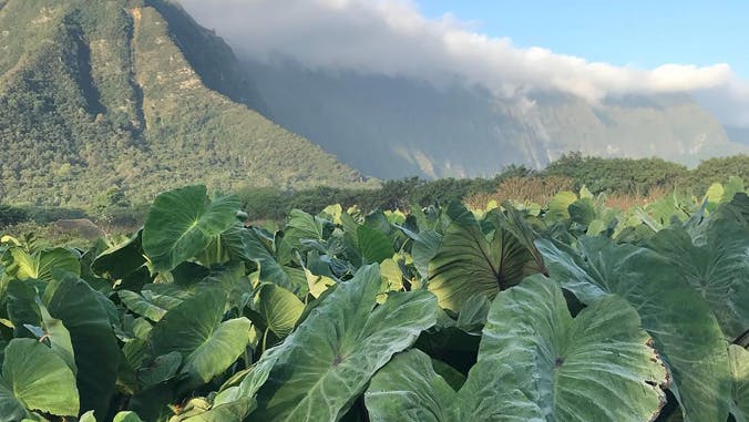 Waimānalo Learning Center at the UH College of Tropical Agriculture and Human Resources.