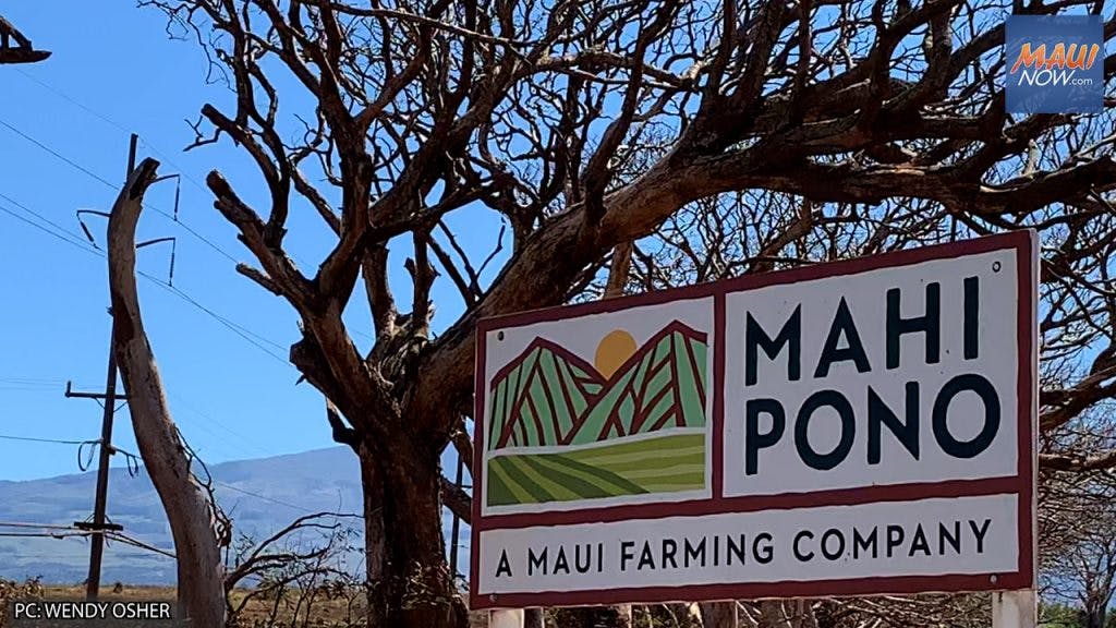 Mahi Pono signage 10.20.21