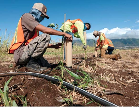 High school interns learning farming techniques.