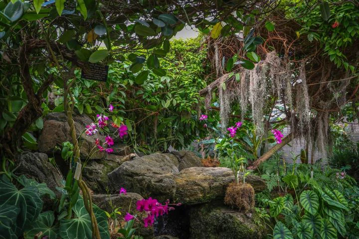 Top Romantic Things To Do In Los Angeles For Couples