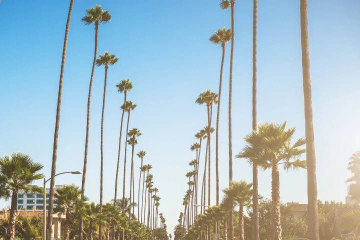 SPRING BREAK, REIMAGINED: THE ART OF THE PRIVATE ESCAPE